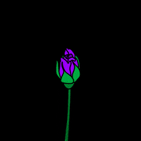 Flowers Rose GIF by Malaea
