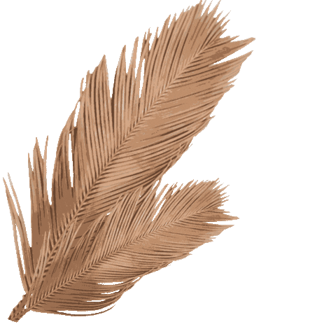 shopstarlow giphyupload shop palmtrees palm leaf Sticker