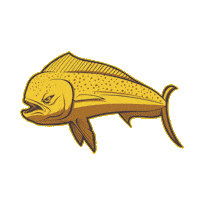 Pesca Spinning Sticker by Jolly Fishing