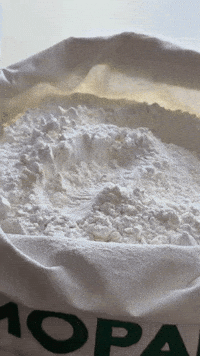 mopansuceava faina mopan mopan suceava GIF