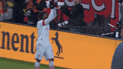 Happy Soccer GIF by Toronto FC