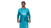 Kevin Trapp Wink Sticker by Eintracht Frankfurt