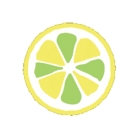 Lemon Lime Sticker by Spindrift Sparkling Water