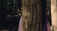 The Story So Far Pop Punk GIF by Pure Noise Records