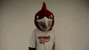 Rcnj Ramapocollege GIF by Ramapo College of New Jersey