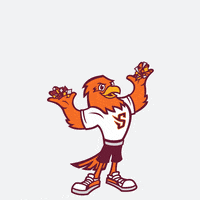 Way To Go Good Job GIF by Susquehanna University