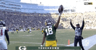 2018 Nfl Football GIF by NFL