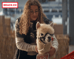 Christmas Alpaca GIF by BRACK.CH AG