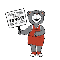 Voting Houston Rockets Sticker by Creative Courage