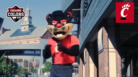 Excited College Sports GIF by College Colors Day