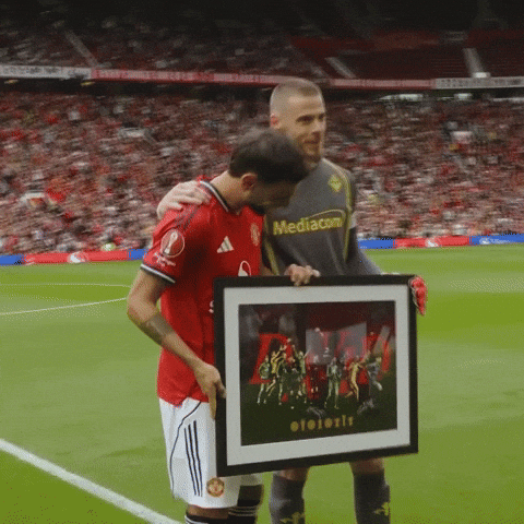 Old Trafford David GIF by Manchester United