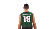 Ncaa Volleyball Sticker by Hawaii Athletics