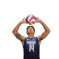 MVNUMVB setting setter mens volleyball mvnu Sticker