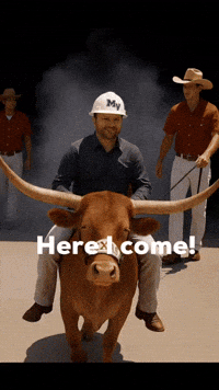 Here I Come Bull GIF