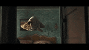the chainsmokers paris GIF by NOW That's Music
