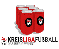 Soccer Winner Sticker by Kreisligafußball