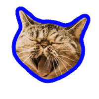 cat yawn Sticker