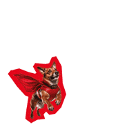 Dog Hero GIF by Deutscher Gewerkschaftsbund (DGB)