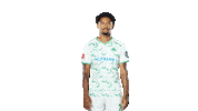 Work Bundesliga Sticker by SpVgg Greuther Fürth