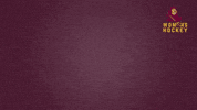 ASUWomensHockey ice hockey asu arizona state university womens ice hockey GIF
