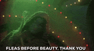 Jim Carrey Christmas Movies GIF by filmeditor