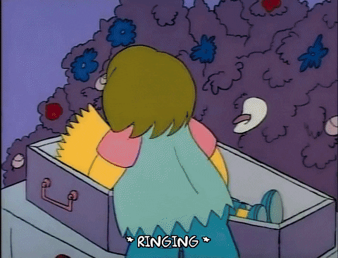 Season 1 GIF by The Simpsons