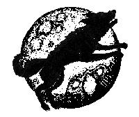 Black Dog Sticker by Taylor Swift