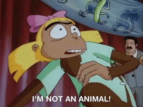 hey arnold nick splat GIF