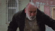 Novela Yusuf GIF by RECORD