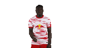 Looking I See You Sticker by RB Leipzig
