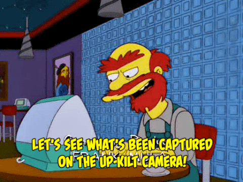 principal skinner GIF