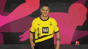 Borussia Dortmund Dj GIF by Bundesliga