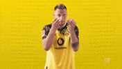 Suele Borussia Dortmund GIF by Bundesliga