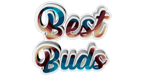 Digital Art Friends Sticker