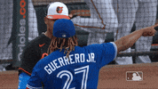 Go Regular Season GIF by MLB