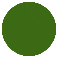 Blanquita Cuento Infantil Sticker by PlanetadeLibros Argentina