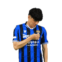 Football Sticker by Incheon United FC