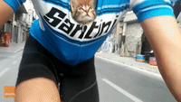 Caring Cyclist Carries Orphaned Kitten 30 Kilometers