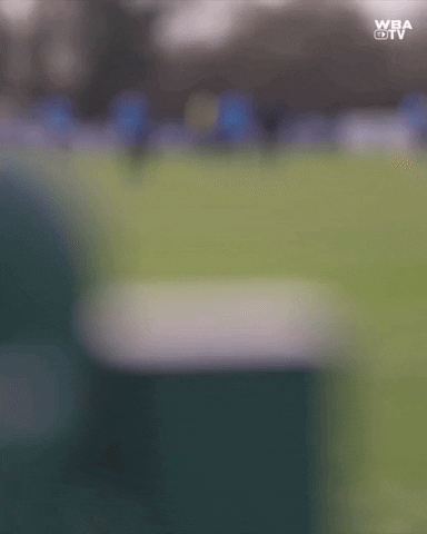 West Brom Football GIF by West Bromwich Albion
