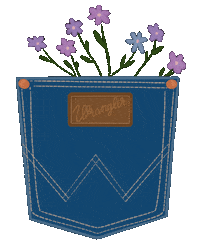 Wrangler Jeans Love Sticker by Melissa