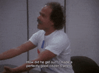 Miami Vice Citizens Arrest GIF by Goldmaster