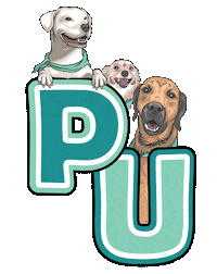 PawsomeUniversity dog dogs pu tasha Sticker