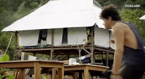 viceland GIF by JUNGLETOWN