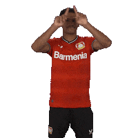 No Clue Football Sticker by Bayer 04 Leverkusen