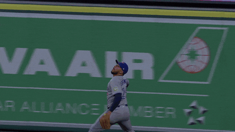 Blue Jays Baseball GIF by Toronto Blue Jays