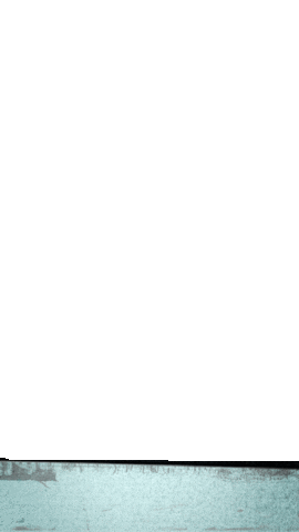 Rcdugc Bottom Sticker by Rainier Beer