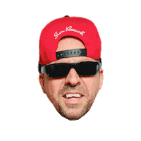 Germany Party Sticker by Die Atzen