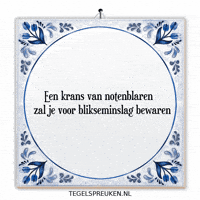 Humor Nl GIF by Tegelspreuken.nl