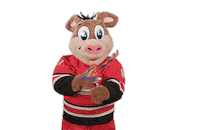 Ice Hockey Sticker by NHL