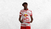 Come Here GIF by RB Leipzig